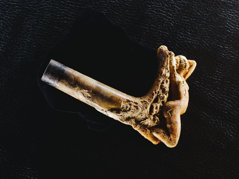 Wooden cane handle showing form photographed with Halumin.
