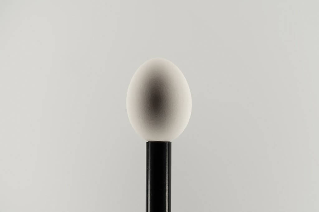 White background product photography of an egg lit by Halumin.