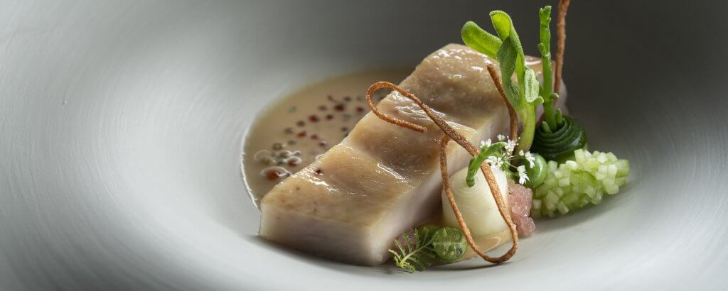Five Reasons Halumin is the Best Lighting for Food Photography